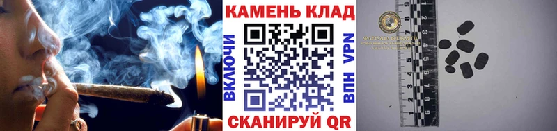 ГАШ Premium Зеленогорск