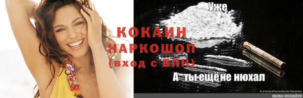 винт Новозыбков