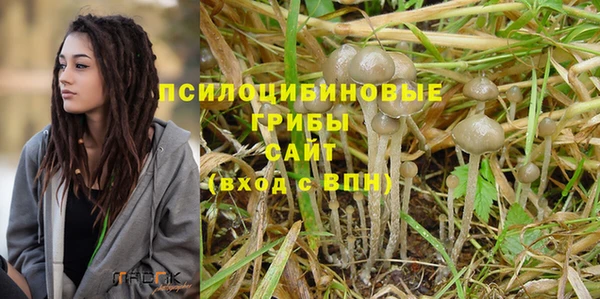 винт Новозыбков