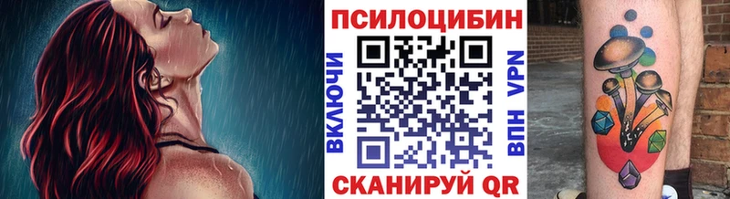 Галлюциногенные грибы Cubensis  Зеленогорск 