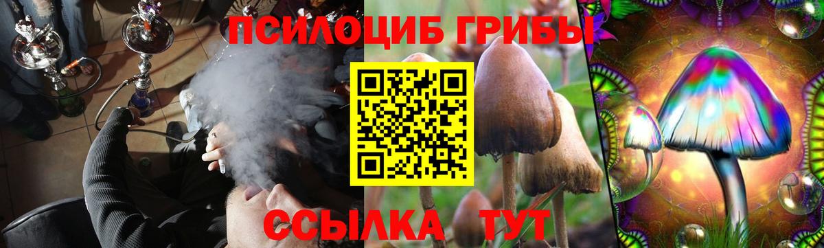 Псилоцибиновые грибы Magic Shrooms  Галлюциногенные грибы мухоморы  Вход с VPN  Зеленогорск 