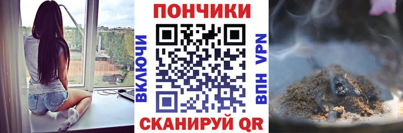 Каннабис OG Kush Зеленогорск