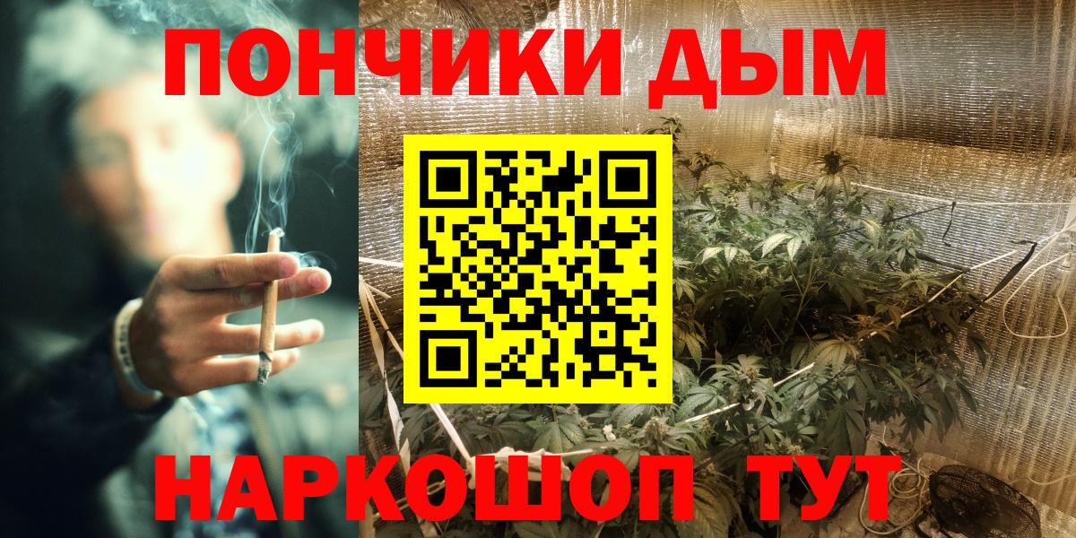 Каннабис планчик Зеленогорск